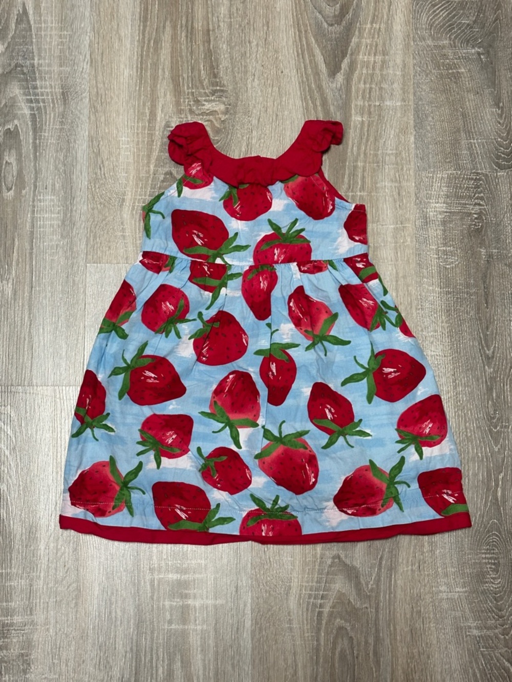 Gymboree Red Strawberry Print Dress on Light Blue